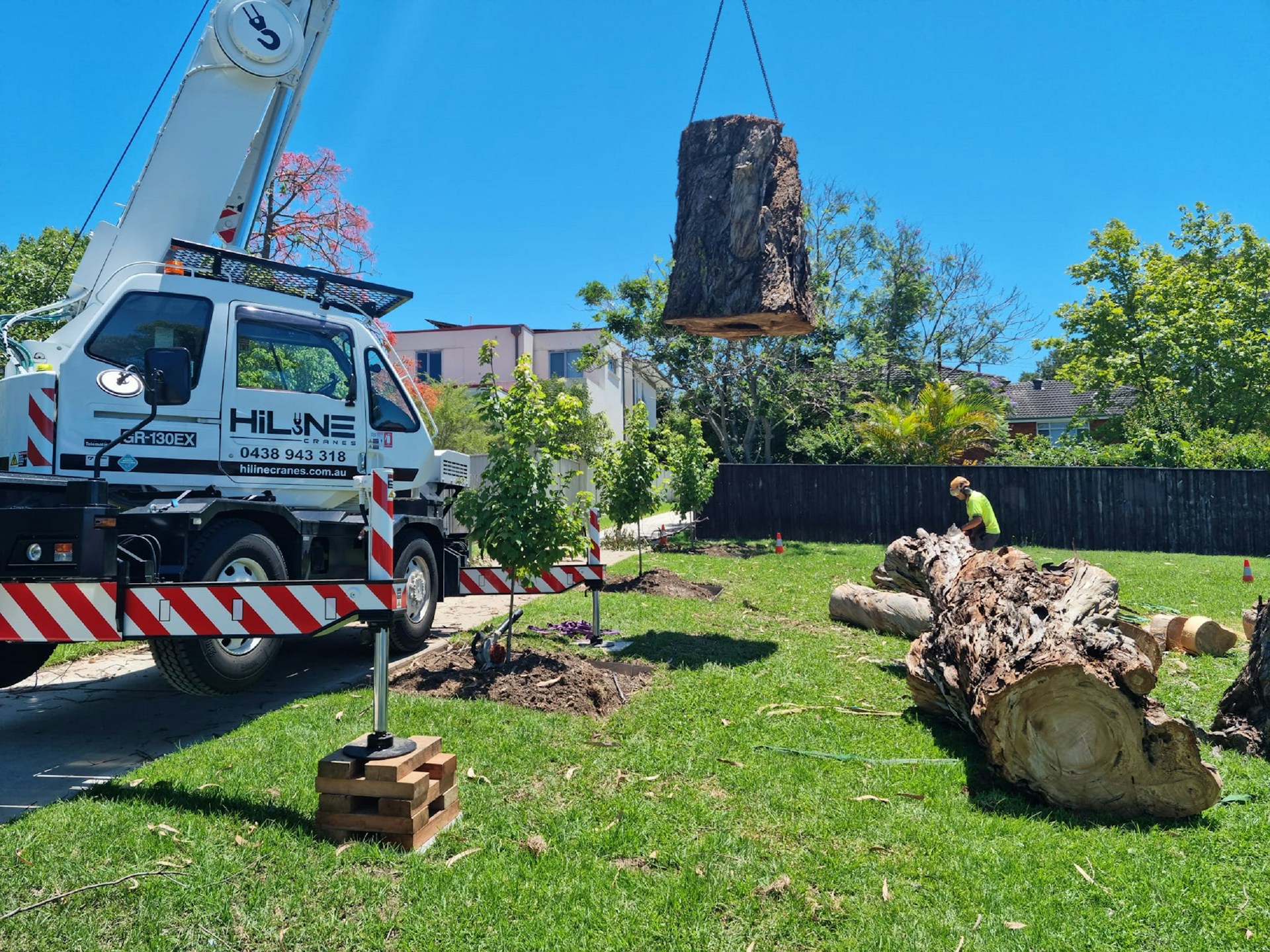 3 Ways Using a Crane is Beneficial for Removing a Tree - Awe.some