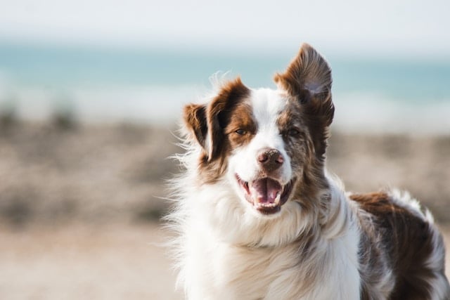 Photo by Pauline Loroy on Unsplash